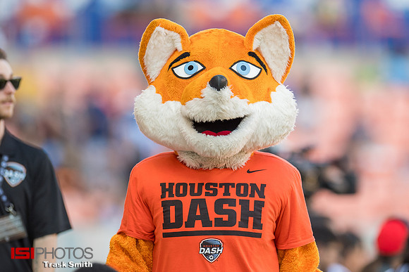 Houston Dash mascot Diesel
