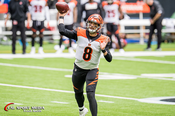 NFL 2020: Bengals vs Texans DEC 27