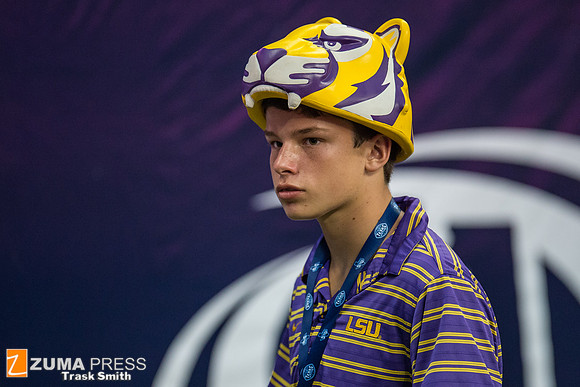 NCAA football 2014 - LSU Tigers vs Wisconsin Badgers