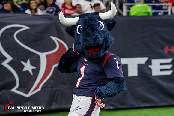 NFL 2019: Rams vs Texans AUG 29