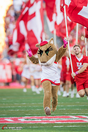 NCAA Football 2017: SMU vs Houston OCT 07
