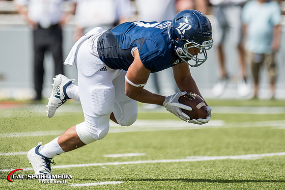 NCAA Football 2018: Houston vs Rice SEP 01