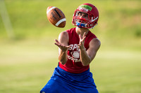 2014-08-04 Brazosport training camp