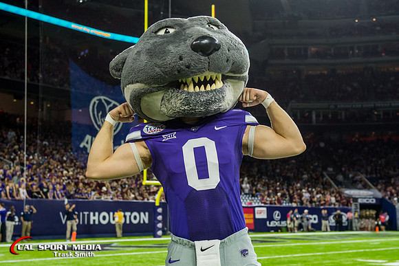 NCAA Football 2016: Texas Bowl - Texas A&M vs Kansas State DEC 28