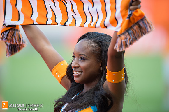 MLS 2014 - Houston Dynamo vs Real Salt Lake