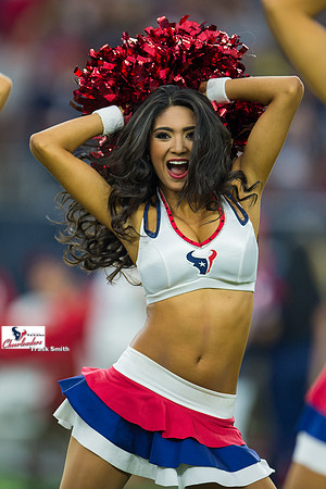 NFL 2015 - Houston Texans vs Tampa Bay Buccaneers