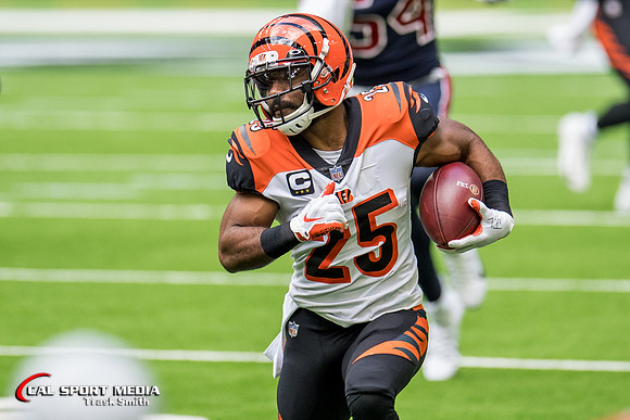 NFL 2020: Bengals vs Texans DEC 27