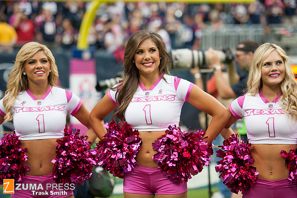 NFL 2013 - Houston Texans vs St. Louis Rams