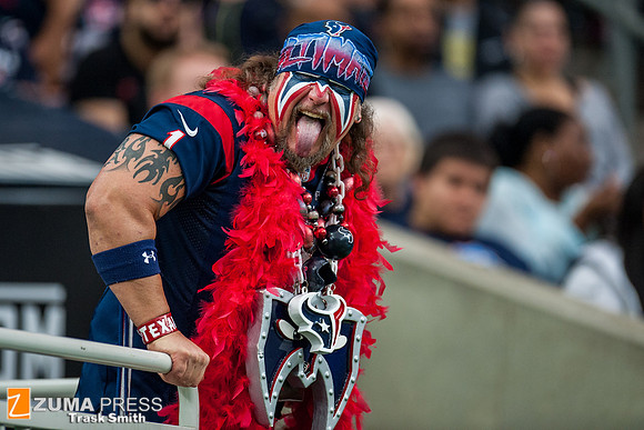 NFL 2015 - Houston Texans defeat the Tennessee Titans 20-6