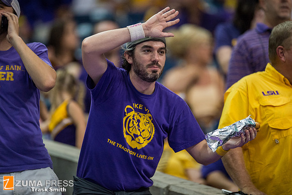 NCAA football 2014 - LSU Tigers vs Wisconsin Badgers