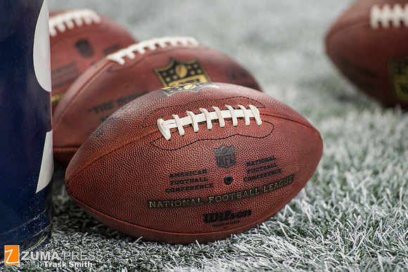 NFL 2015 - Houston Texans defeat the Tennessee Titans 20-6