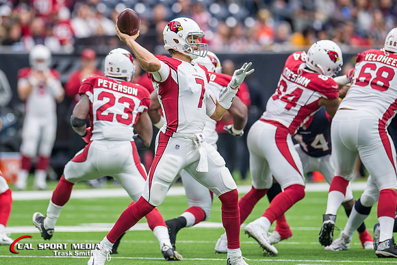 NFL 2017: Cardinals vs Texans NOV 19