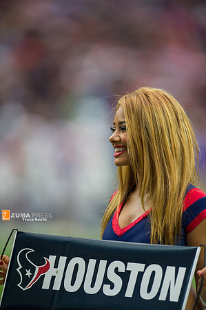NFL 2014 - Houston Texans vs Buffalo Bills