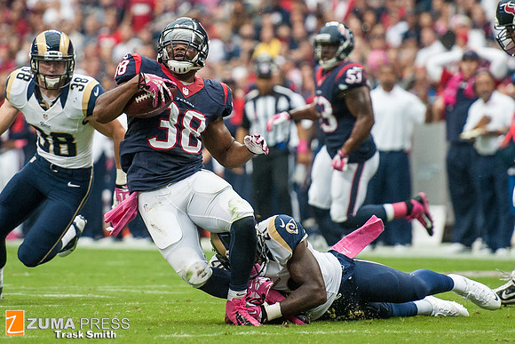 NFL 2013 - Houston Texans vs St. Louis Rams