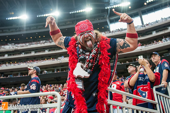 NFL 2014 - Houston Texans vs Buffalo Bills