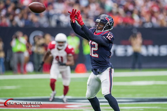 NFL 2017: Cardinals vs Texans NOV 19