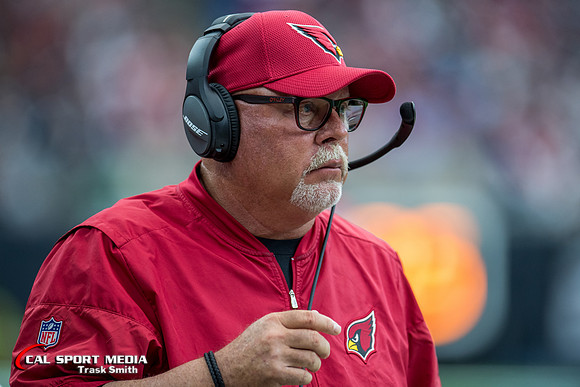 NFL 2017: Cardinals vs Texans NOV 19