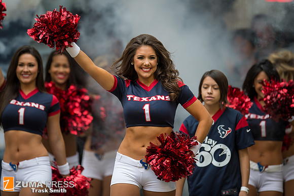 NFL 2013 - Houston Texans vs New England Patriots