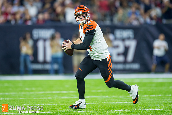 NFL 2016 - Houston Texans vs Cincinnati Bengals