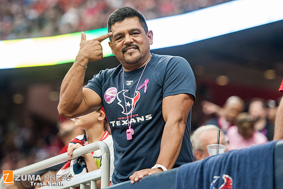 NFL 2013 - Houston Texans vs St. Louis Rams