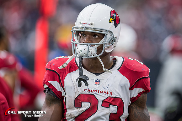 NFL 2017: Cardinals vs Texans NOV 19