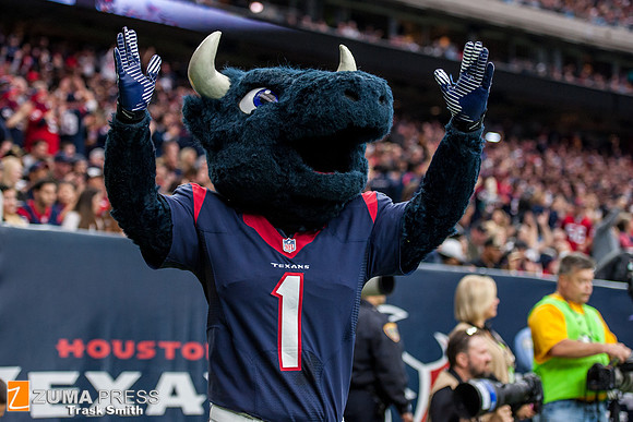 NFL 2015 - Houston Texans defeat New Orleans Saints 24-6.