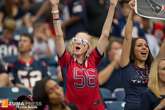 NFL 2013 - Houston Texans vs St. Louis Rams