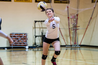 Danbury vs Van Vleck volleyball (10-29-13)