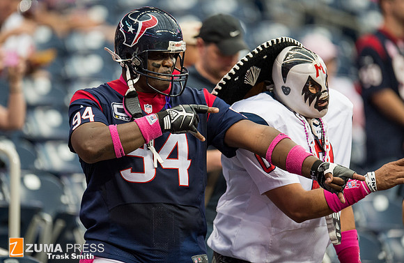 NFL 2013 - Houston Texans vs St. Louis Rams