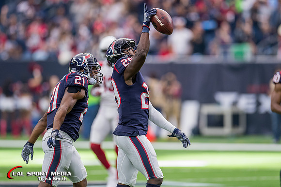 NFL 2017: Cardinals vs Texans NOV 19
