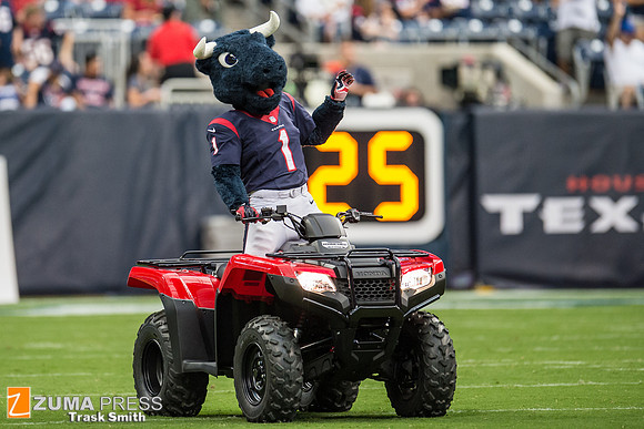 NFL 2014 - Houston Texans vs Atlanta Falcons