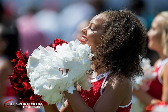 NCAA Football 2018: Houston vs Rice SEP 01