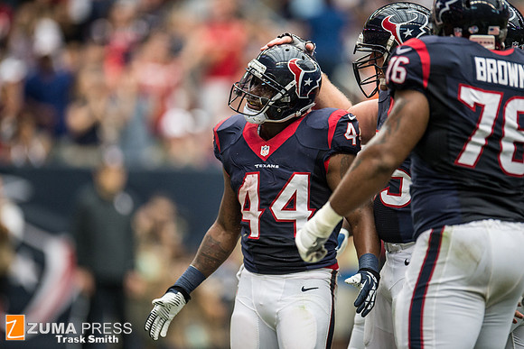 NFL 2013 - Houston Texans vs New Orleans Saints