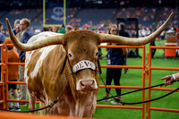 NCAA Football 2019: Texas vs Rice SEP 14