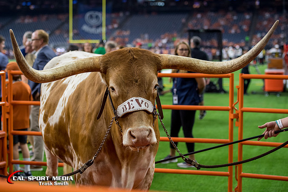 NCAA Football 2019: Texas vs Rice SEP 14