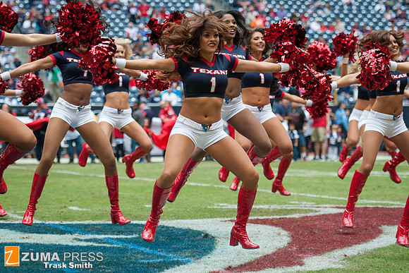 NFL 2013 - Houston Texans vs New England Patriots