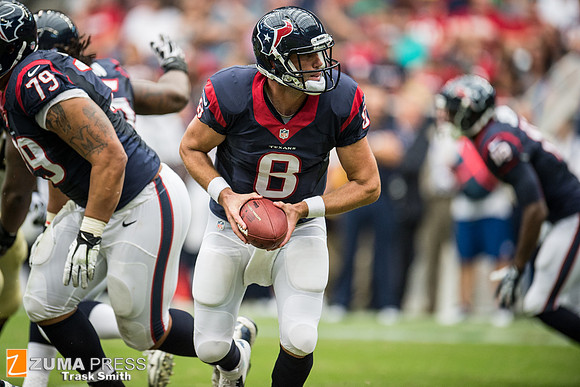 NFL 2013 - Houston Texans vs New Orleans Saints