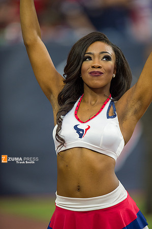 NFL 2014 - Houston Texans vs Buffalo Bills