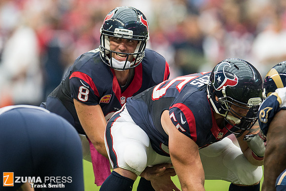 NFL 2013 - Houston Texans vs St. Louis Rams