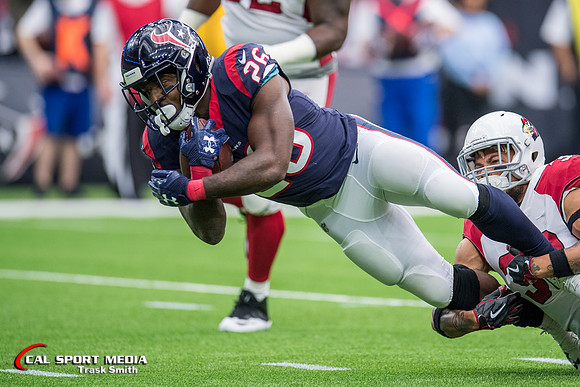 NFL 2017: Cardinals vs Texans NOV 19