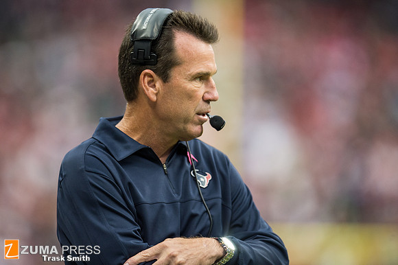 NFL 2013 - Houston Texans vs St. Louis Rams