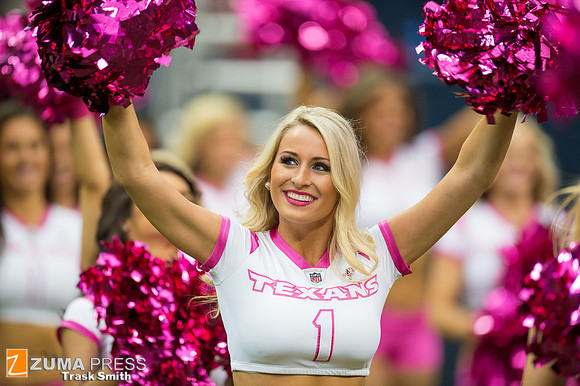 NFL 2013 - Houston Texans vs St. Louis Rams