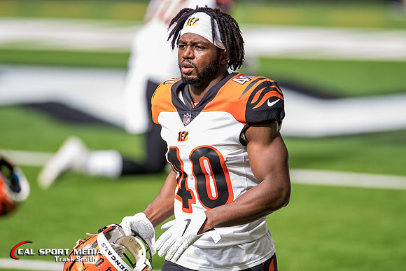 NFL 2020: Bengals vs Texans DEC 27