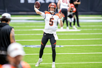 NFL 2020: Bengals vs Texans DEC 27