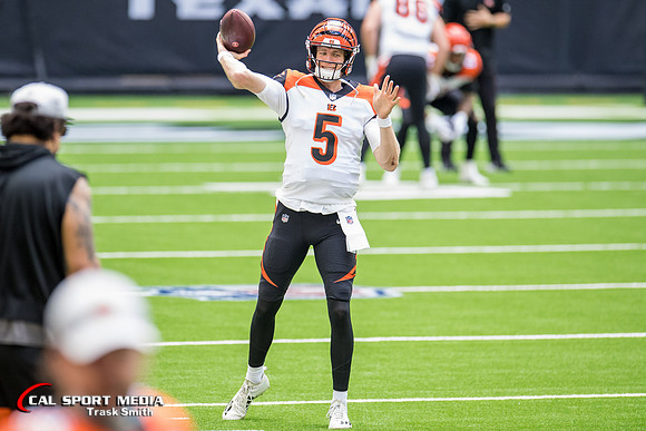 NFL 2020: Bengals vs Texans DEC 27