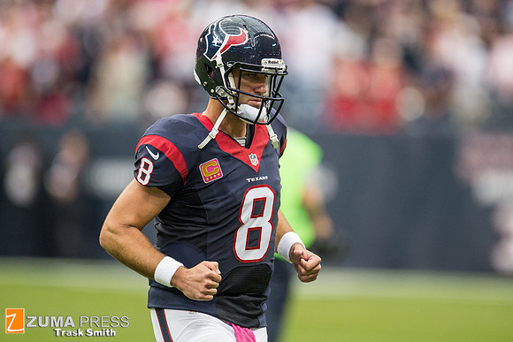 NFL 2013 - Houston Texans vs St. Louis Rams