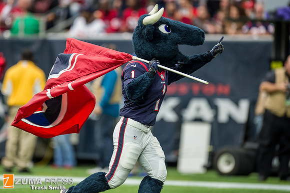 NFL 2016 - Houston Texans defeat Jacksonville Jaguars 30-6
