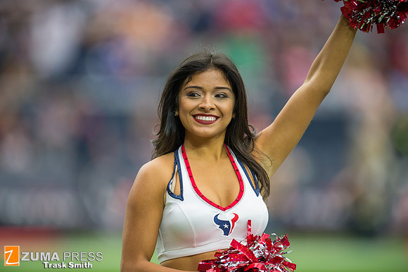 NFL 2014 - Houston Texans vs Buffalo Bills