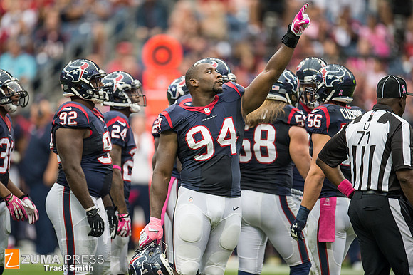 NFL 2013 - Houston Texans vs St. Louis Rams
