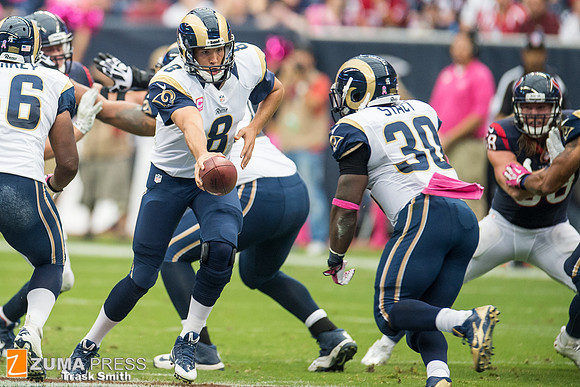 NFL 2013 - Houston Texans vs St. Louis Rams